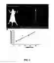 Fig. 04 - Multimodality imaging of reporter gene expression using a novel fusion vector in living cells and animals