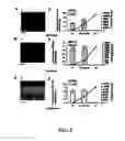 Fig. 06 - Multimodality imaging of reporter gene expression using a novel fusion vector in living cells and animals