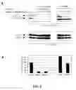 Fig. 10 - Variants of mammalian prolactin, prolactin receptor antagonists, and methods of use