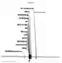 Fig. 03 - Method of determining xenograft responses