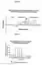 Fig. 09 - Method of determining xenograft responses