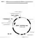 Fig. 03 - Method for identifying herbicidally active substances