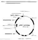 Fig. 04 - Method for identifying herbicidally active substances