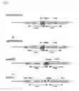 Fig. 03 - Promoters and utilization thereof