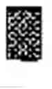 Fig. 09 - Artificial promoter for the expression of dna sequences in vegetal cells