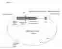 Fig. 11 - Artificial promoter for the expression of dna sequences in vegetal cells