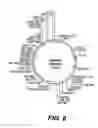 Fig. 09 - Metabolite transporters