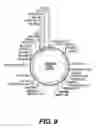 Fig. 10 - Metabolite transporters