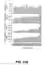Fig. 14 - Metabolite transporters