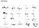 Fig. 08 - Production of foreign nucleic acids and polypeptides in sprout systems