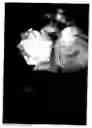 Fig. 03 - Rose named 'Her Ice'