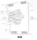 Fig. 09 - Performance apparel