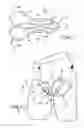 Fig. 02 - Protective element particularly for shorts