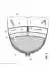 Fig. 04 - Comfort pillow