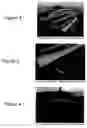 Fig. 03 - Cushioning system with parallel sheets having opposing indentions for linear deflection under load