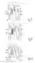 Fig. 04 - Hinge having fixedly engaged hinge means