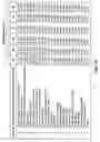 Fig. 11 - Methods for optimally adjusting measurements of garments
