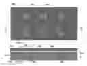 Fig. 08 - Reusable template for creation of thin films; method of making and using template; and thin films produced from template