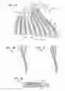 Fig. 08 - Chimney structures for apparel