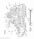 Fig. 21 - Chimney structures for footwear