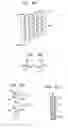 Fig. 31 - Chimney structures for footwear