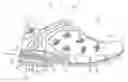 Fig. 01 - Footwear sole
