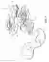 Fig. 02 - Footwear sole