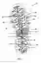 Fig. 10 - Footwear with a shank system