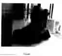 Fig. 14 - Footwear with a shank system