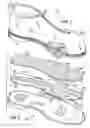 Fig. 02 - Multilayered sole
