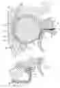 Fig. 02 - Adapter for a trash removal opening of an open end spinning machine