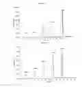 Fig. 01 - Selective nanoprobe for olfactory medicine