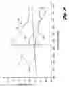Fig. 06 - Steering column vibration isolators and method of adjustment thereto