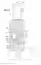 Fig. 06 - Tool for hose clamps