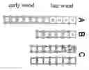 Fig. 01 - Method of improving the acoustic characteristics of resonant wood for musical instruments