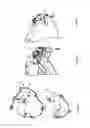 Fig. 06 - Apparatus and method for installing unit on a stringed musical instrument