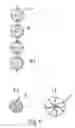 Fig. 09 - Device for the extraction of water from atmospheric air