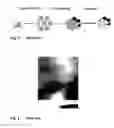 Fig. 02 - Ordered vertically oriented porous inorganic films produced through solution processing