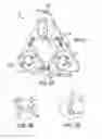 Fig. 07 - Hanging bird toys