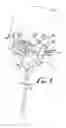 Fig. 02 - Nasal canula and mouthpiece assembly and method