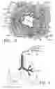 Fig. 03 - Methods of treating inflammation in airways