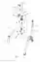 Fig. 03 - Locking mechanism for foldable walker