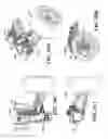 Fig. 71 - Ball joint for a model vehicle