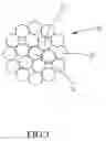 Fig. 04 - Bead structure of a tire