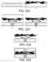 Fig. 114 - Membrane-based chip tooling