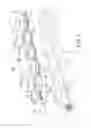 Fig. 06 - Pull cord device and window covering including the same