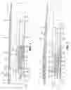 Fig. 02 - Embedded flex-lock slip liner hanger