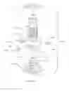 Fig. 25 - Multi-sectional percussive drill bit assembly