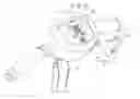 Fig. 01 - Switch of an actuating mechanism of a cart for use by elderly and handicapped persons