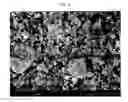 Fig. 04 - Method for producing nanosilver on a large scale, method for manufacturing nanosilver-adsorbed fiber, and antibacterial fiber thereby